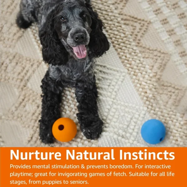 Interactive Fetch Rubber Balls, 3 inch, Blue, Orange - Image 2